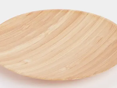 -Bamboo Plate- Low-poly 3D model