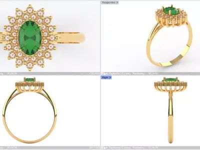 Digital Preciousness Custom-made ring in 3D modeling 3D print model