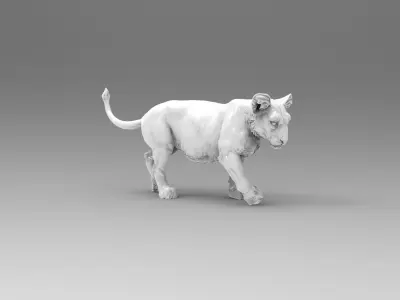 baby lion 3D model
