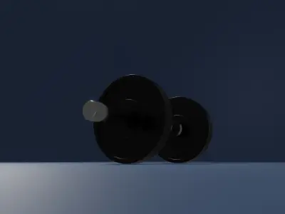 A Dumbbell Model 3D model