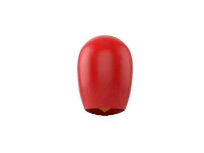 Wrestling Mask 3D model