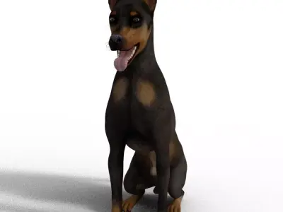 Dobermann Dog - Full Rigged  3D model