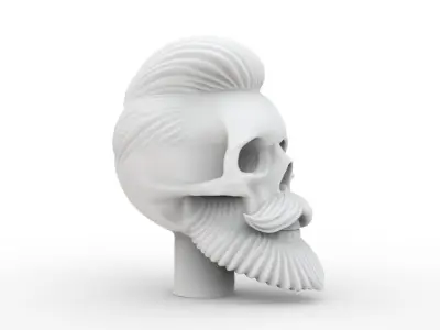 Stylized Skull with Hair and Beard 3D print model