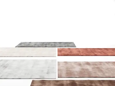 Viscose Rugs 3D model