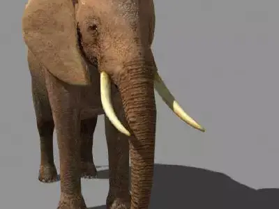 SUPERB LOW-POLY ELEPHANT - 3d model Low-poly 3D model