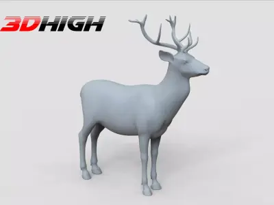 deer basemesh 3D model
