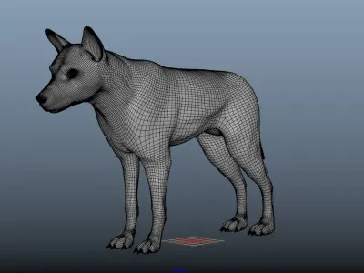 Wolf  3D European Wolf 3D model
