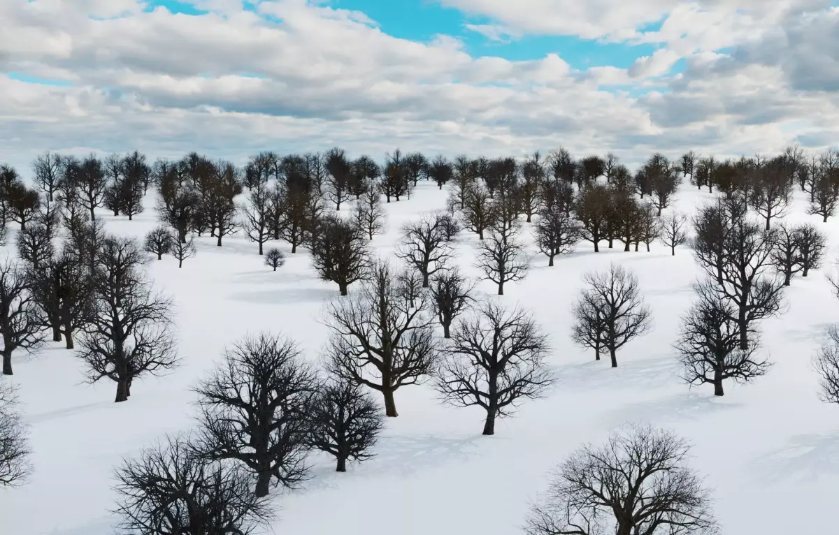 animation winter forest ver-1-0 3D model