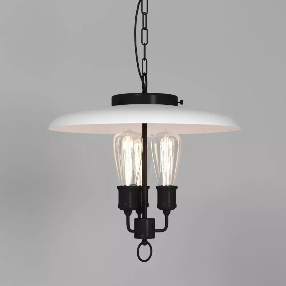 Hanging Lamp LOFT HOUSE P-134 3D model