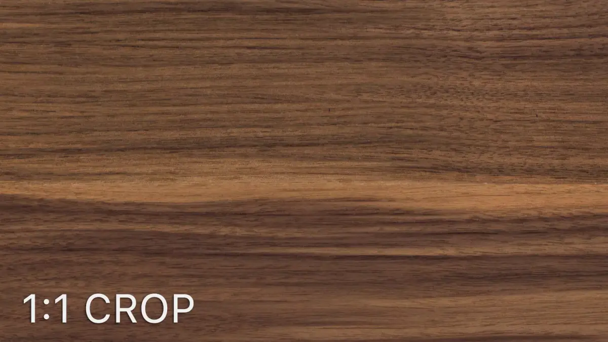 Walnut wood veneer texture Texture