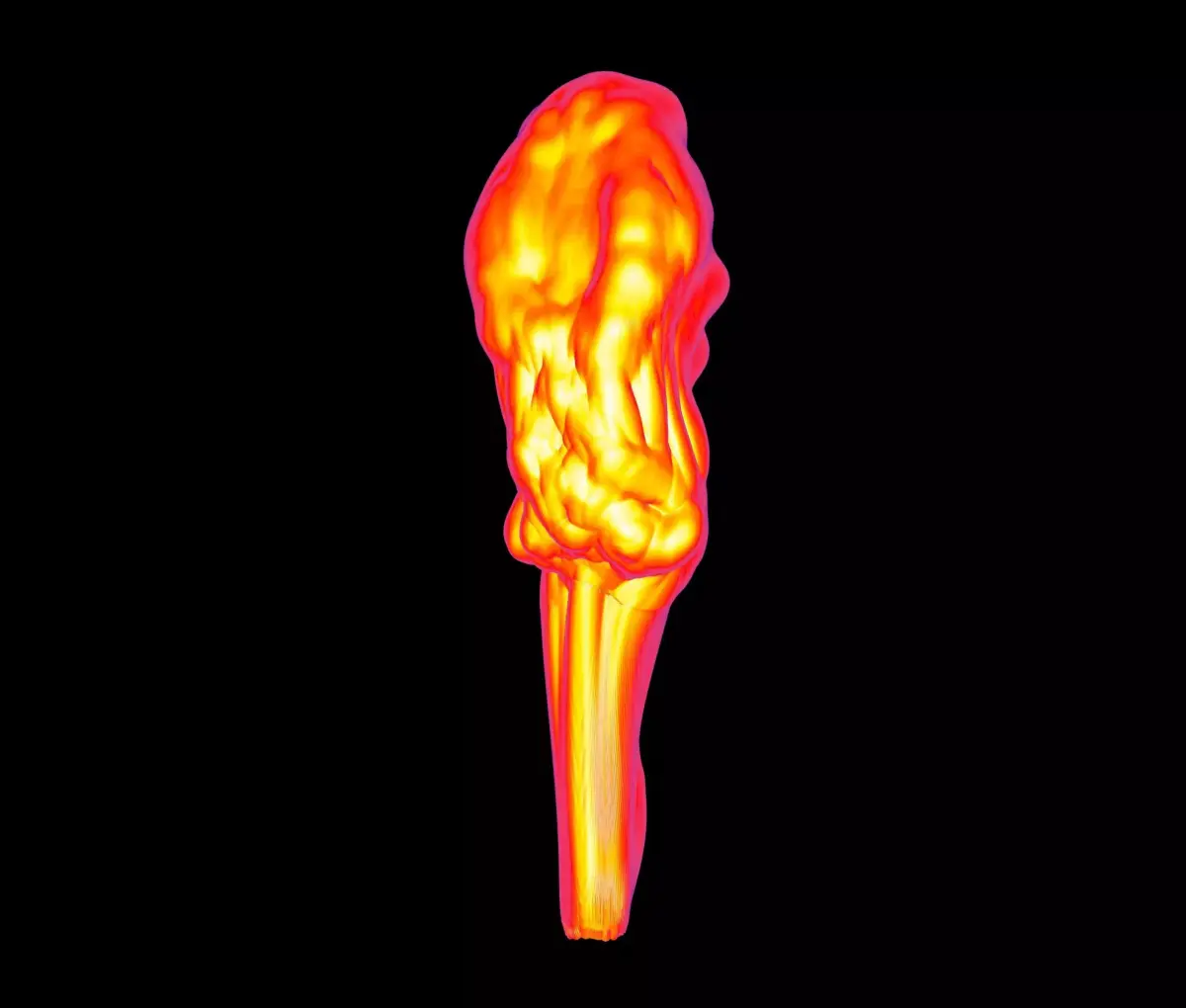 Fire Flame Lamp 3D print model