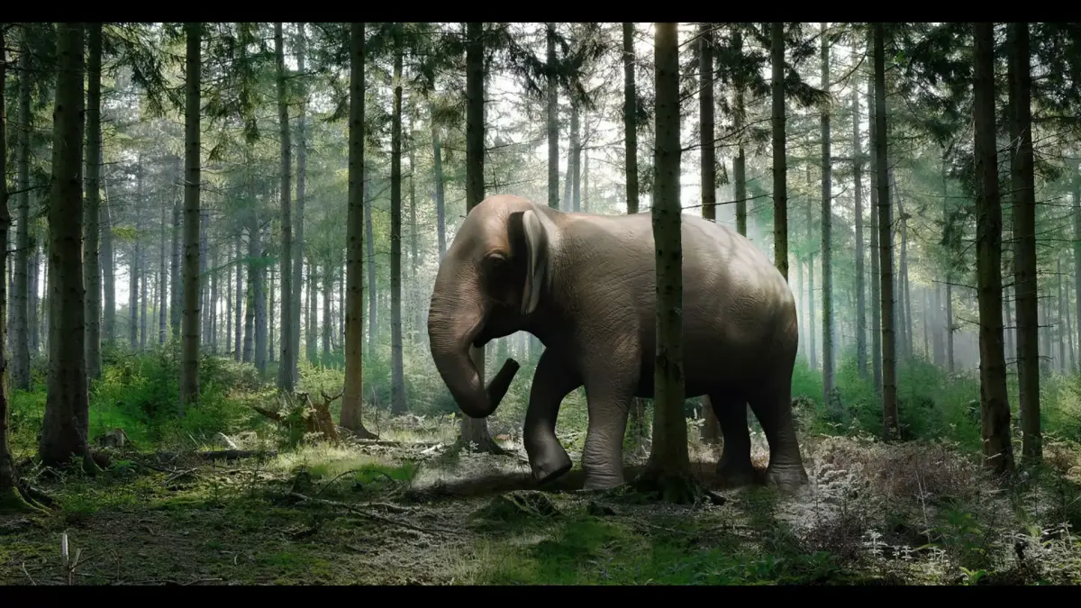 Asian Elephant with Rig Low-poly 3D model purchase