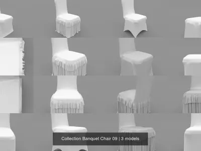 Collection Banquet Chair 09 3D Model Pack