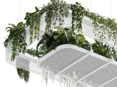 Hanging plants  indoor plant 323 Low-poly 3D model