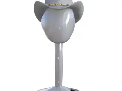 light hat 3D model