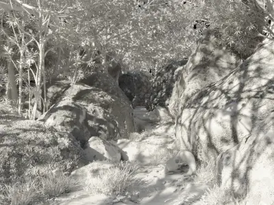 Realistic Forest scene Environment 3D model