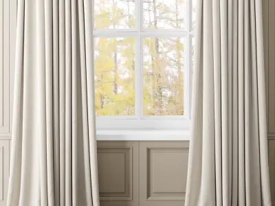 Curtain 3D model 13
