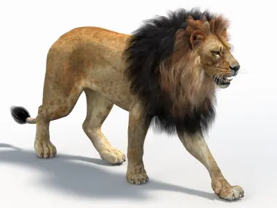  Lion 2 Animated Polygonal Mane 
