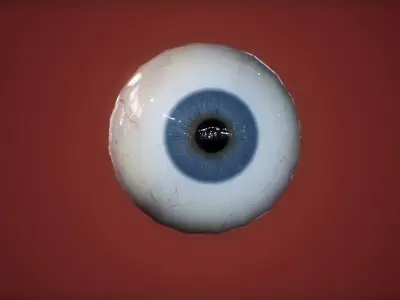 Model of a realistic eye  Low-poly 3D model