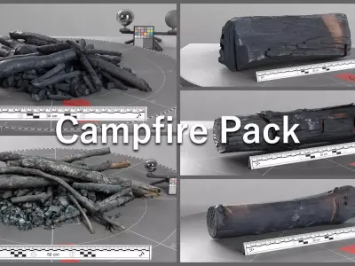 CampfireScan Pack Low-poly 3D model