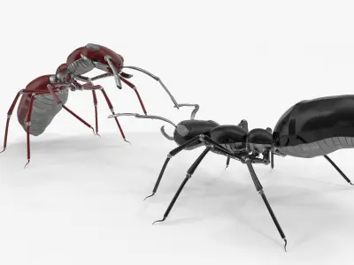 Robot ants 3D model
