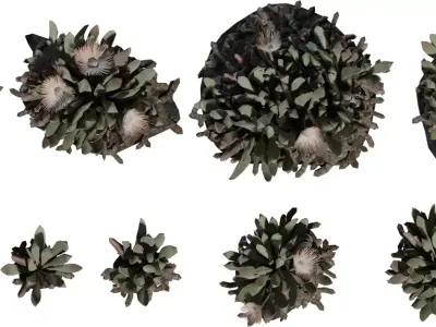 Stylized Desert Succulent Clump Pack Low-poly 3D model