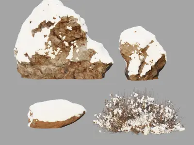 Rocks and plants in snow 3D model