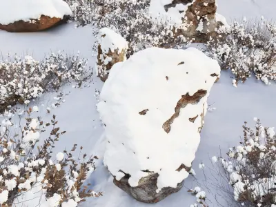 Rocks and plants in snow 3D model