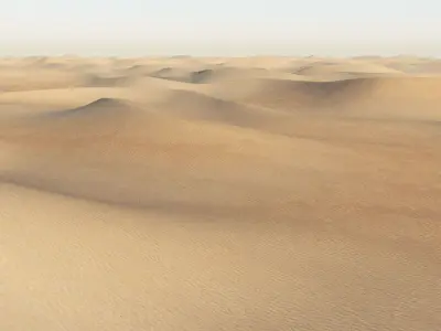 Desert 8 sand 3D model