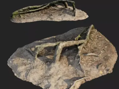 nature forest roots 001 3D model