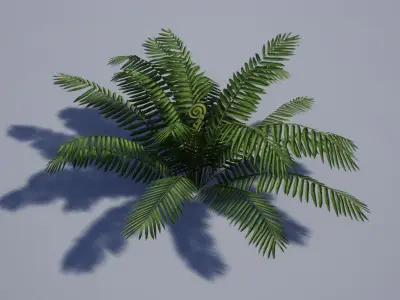 Realistic Tropical Fern Low-poly 3D model