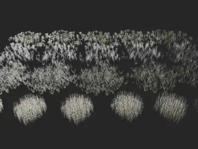 Moss and lichens Low-poly 3D model