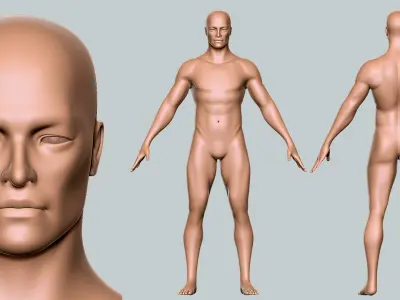 Male BaseMesh  - Topology + UV Map