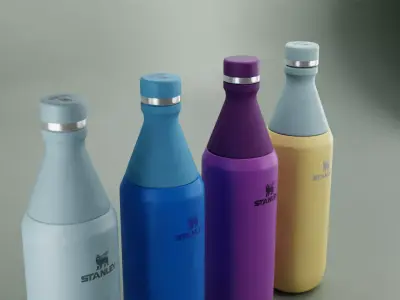 ll Day Slim Insulated Water Bottle 3D model