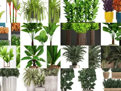 Collection of plants in pots for street and interior decor 3D Model Pack