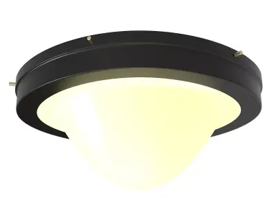 Ceiling lamp for roof 3D model