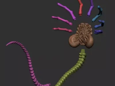 Facehugger 3D Model  Alien Creature STL OBJ   3D print model