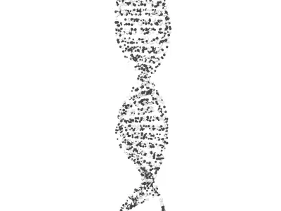 DNA Molecule v4 010 3D model