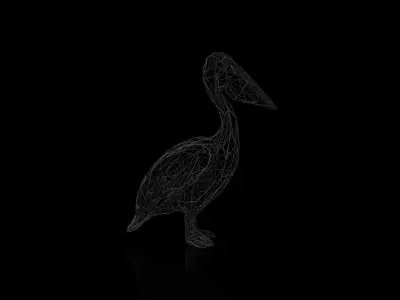 Pelican Wireframe Low-poly 3D model