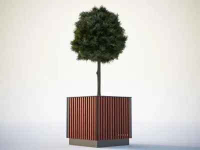 Small tree in a pot 3D model