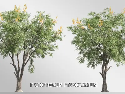 4 tree 3d models-Vol 02 3D model