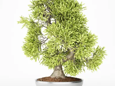 Collection Small tree 1 Free 3D model