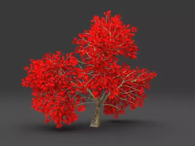 Maple red Tree 3D model