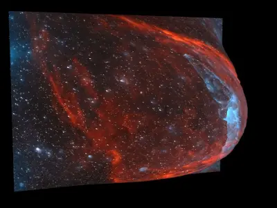 Squid Nebula 3D model