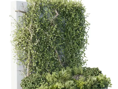 Garden ivy of Plants shrubs and palm tree - outdoor garden Low-poly 3D model