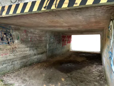 dirty tunnel Free 3D model