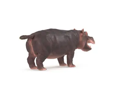  Hippo Textured 