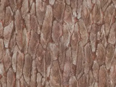 Natural Pine Tree Bark PBR Seamless Texture