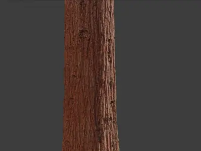 Redwood Pine Conifer Trunk 3D PhotoScan Realistic  Free low-poly 3D model