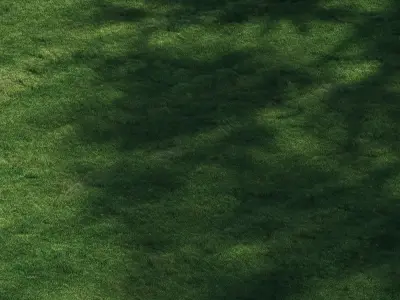 3 click grass for archviz 3D model